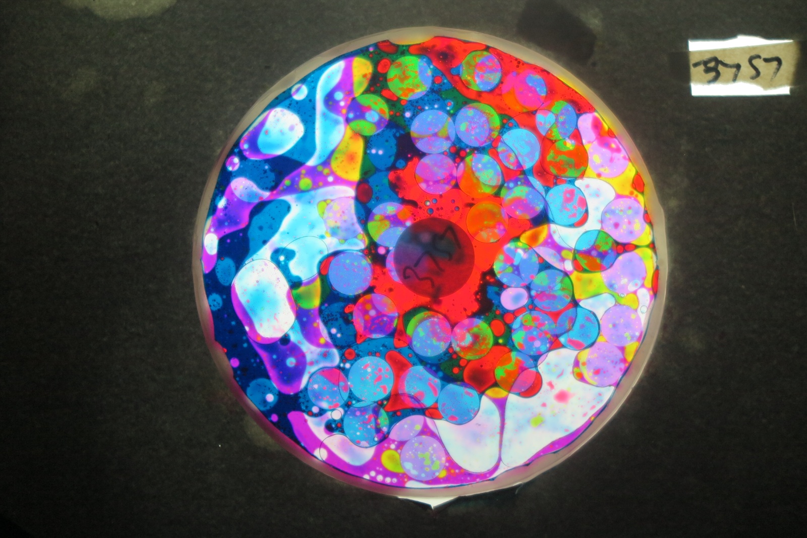 BV3757 bubble vision oil wheel